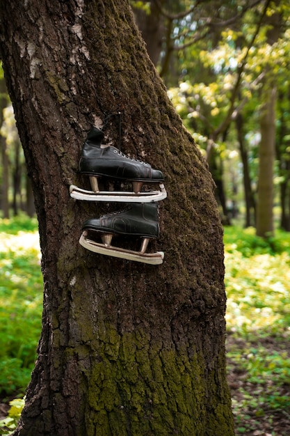 Free photo ice skates outdoors still life