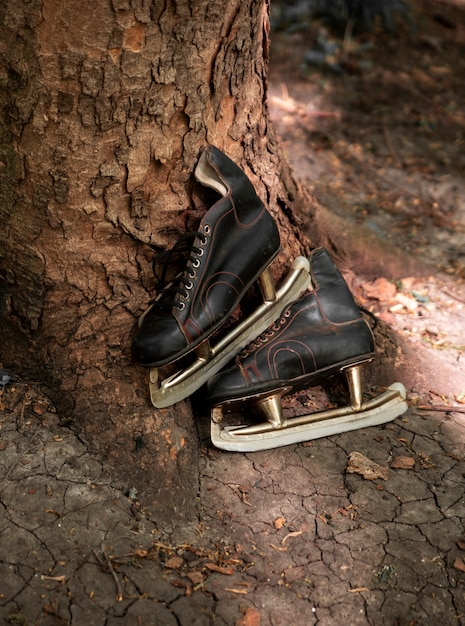 Ice skates outdoors still life