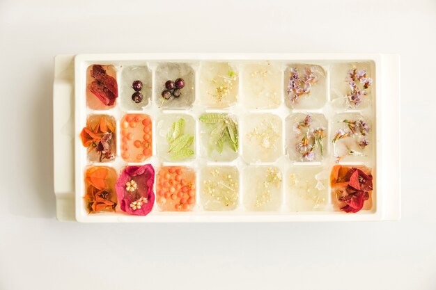 Ice tray with assortment of plants