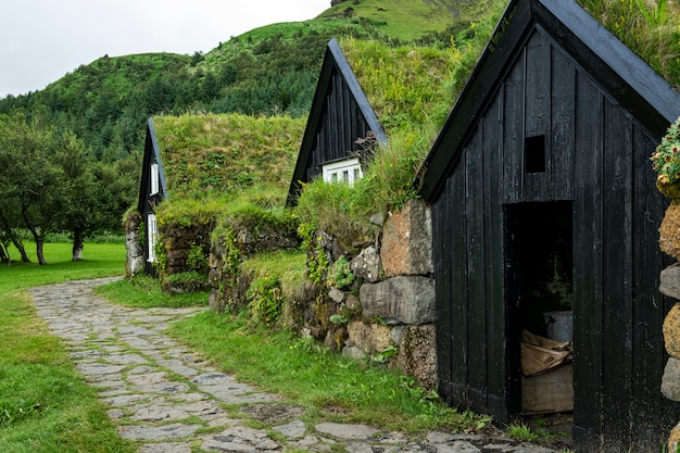 Free Photo iceland landscape of beautiful houses