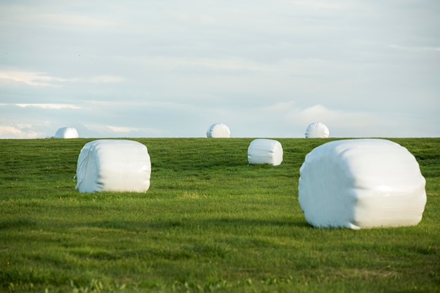 Free Photo iceland landscape of beautiful plains