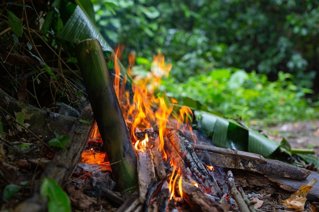 Free photo igniting the fire in the forest for camping.