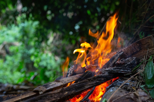 Free photo igniting the fire in the forest for camping.