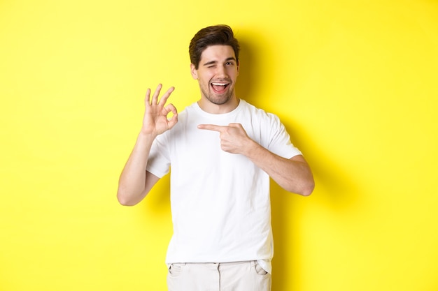 Image of handsome young man approve something, showing okay sign and winking, standing against yellow background.