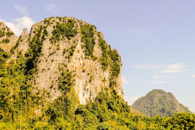 Free photo immense cliff covered with lush vegetation in a jungle