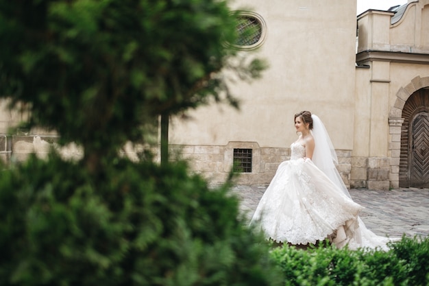 Free Photo the incredible bride rejoices on her wedding day