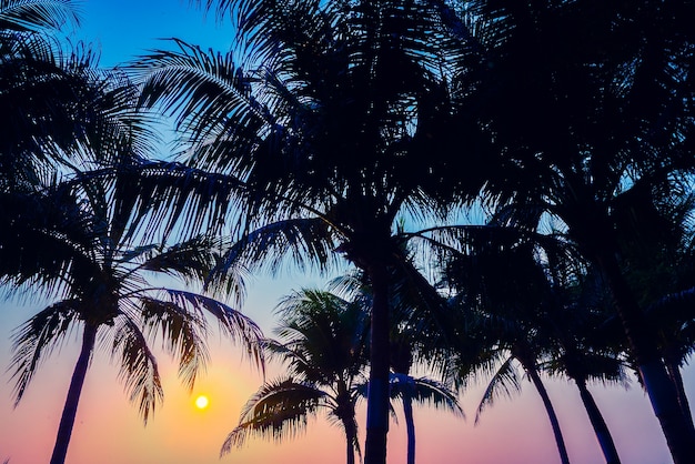 india island horizon pattern palm