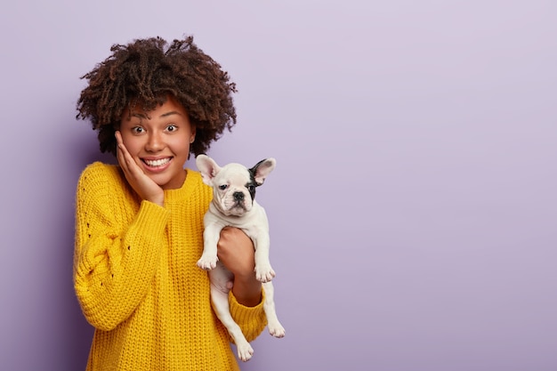 Free Photo indoor shot of glad young female has afro haircut, gets good news from vet about pets health, holds french bulldog puppy with smooth coat, black ear, pose together over violet wall. domestic breed