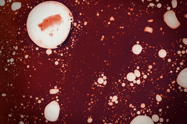 Infectious coronavirus blood splatter