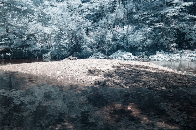 Free Photo infrared photograph of the mossy rocks taken in skrad municipality of croatia