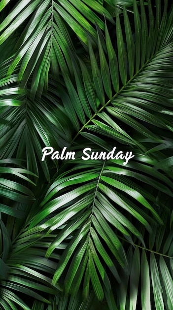 Free photo the inscription palm sunday on the background of intertwined palm leaves vertical poster