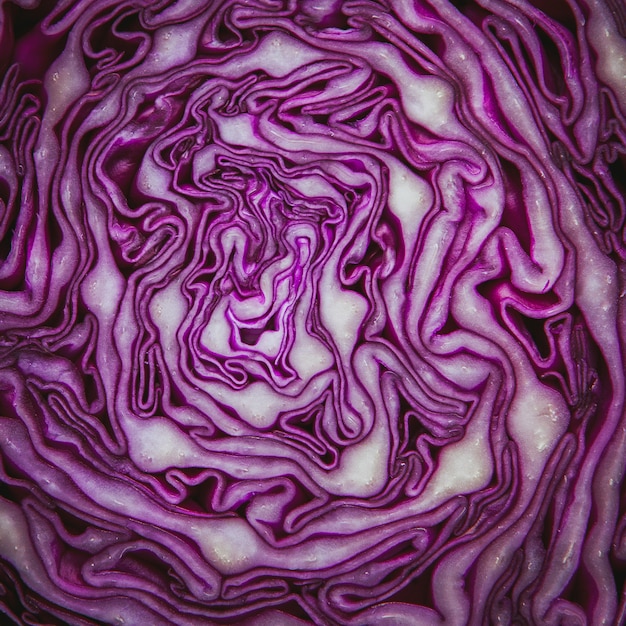 Free Photo inside view of red cabbage .