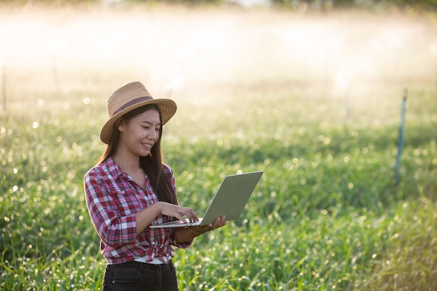 Free photo inspection of aromatic garden quality by farmers