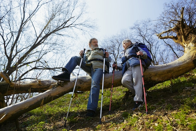 Free photo inspiration for living. aged family couple of man and woman in tourist outfit walking at green lawn near by trees in sunny day. concept of tourism, healthy lifestyle, relaxation and togetherness.