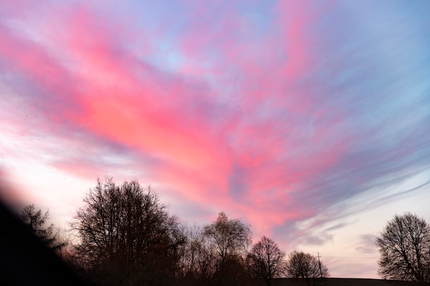 Free Photo inspiring view of morning light