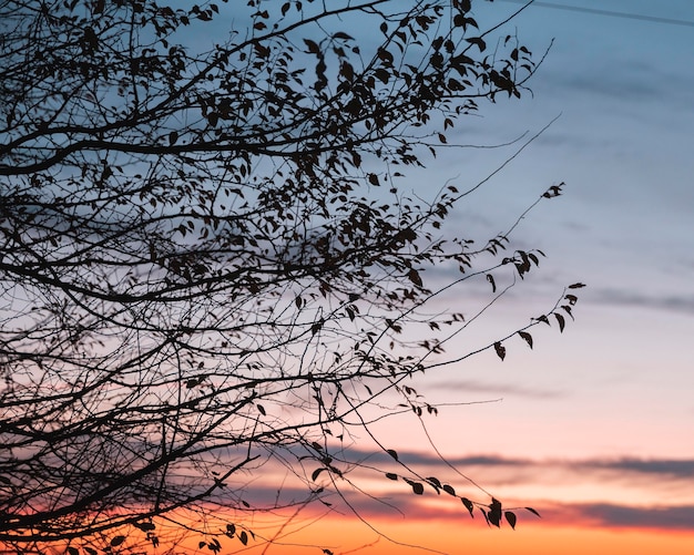 Inspiring view of morning light