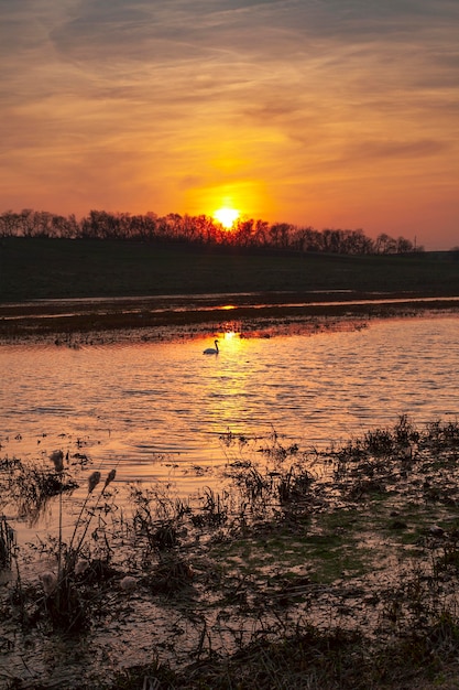 Inspiring view of sunrise light