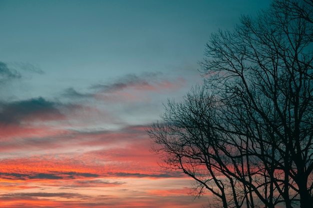 Inspiring view of sunset light