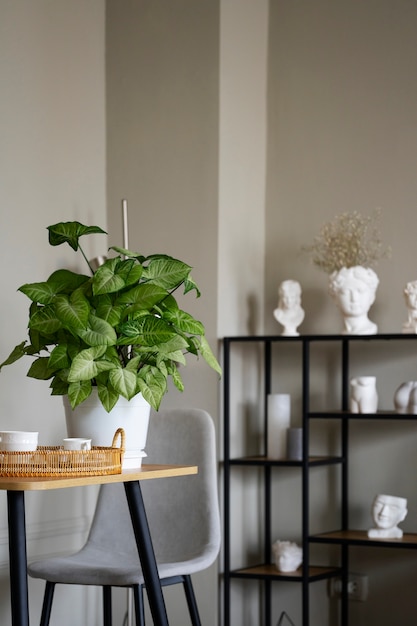 Free Photo interior decor with potted plant and table