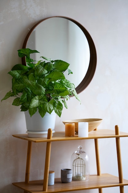 Interior decoration with potted plant and shelf