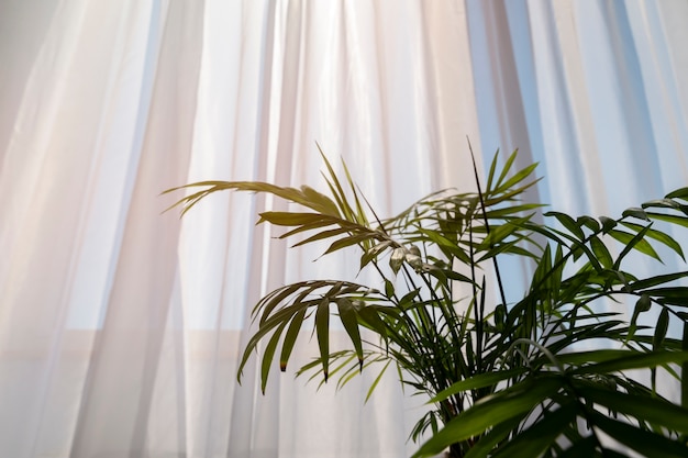 Free photo interior design with green plant low angle