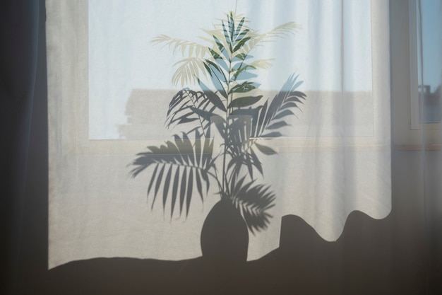 Free Photo interior design with plant shadow front view