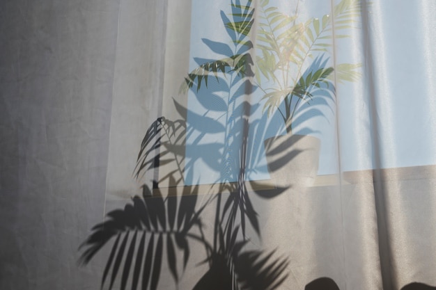 Free photo interior design with plant shadow low angle