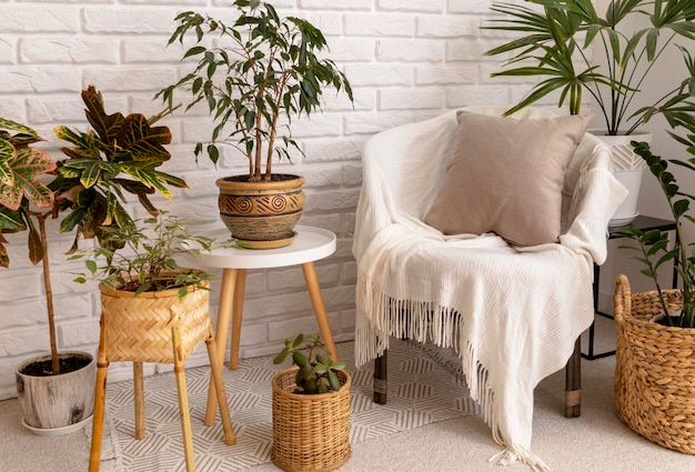 Free Photo interior design with plants