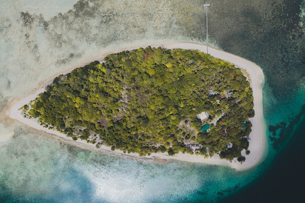 Island covered in trees and vegetation surrounded by the ocean