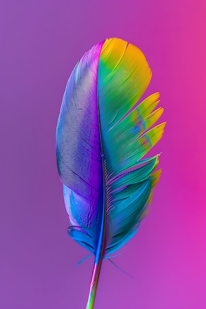 Isolated feather in studio