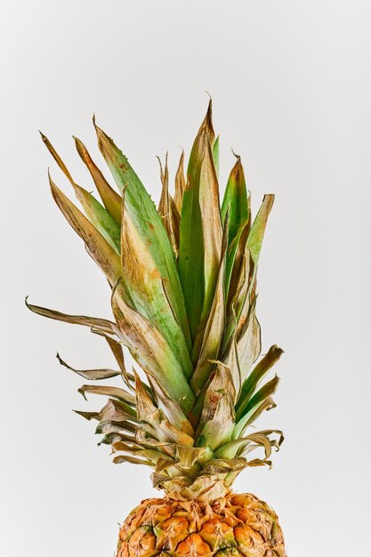 Isolated on white background top of pineapple Ripe pineapple closeup Ripe tropical juicy fruits Delivery prospectus or flyer idea vertical frame