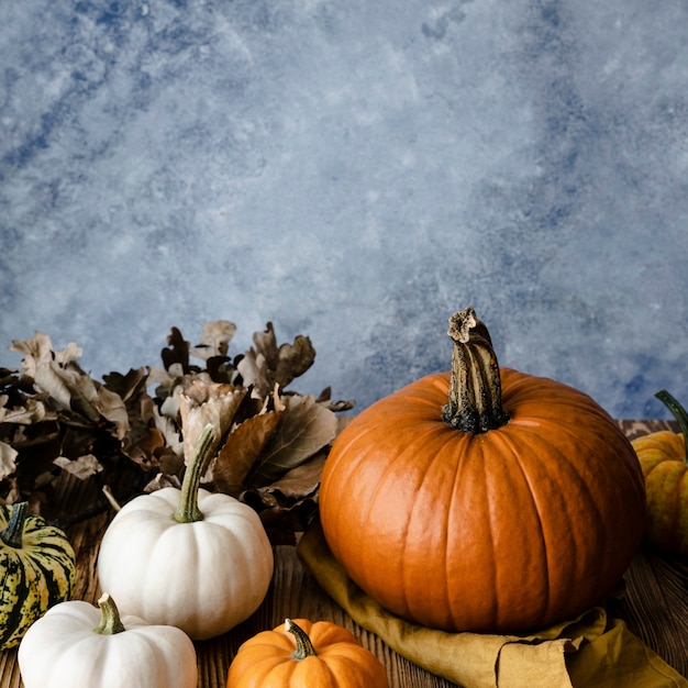 Free photo jack o' lantern pumpkins organic vegetable photography