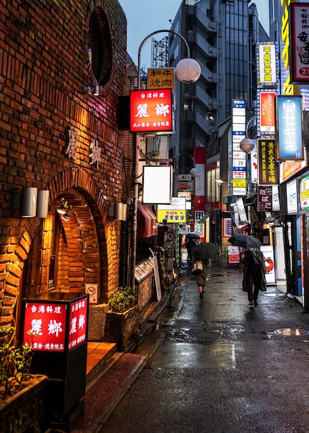 Japan street  urban landscape