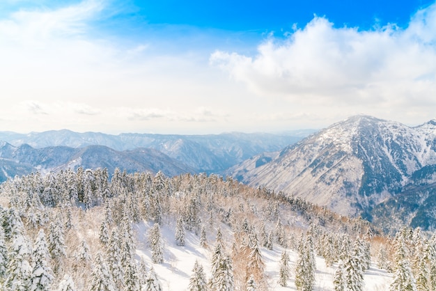 Japan Winter mountain with snow covered