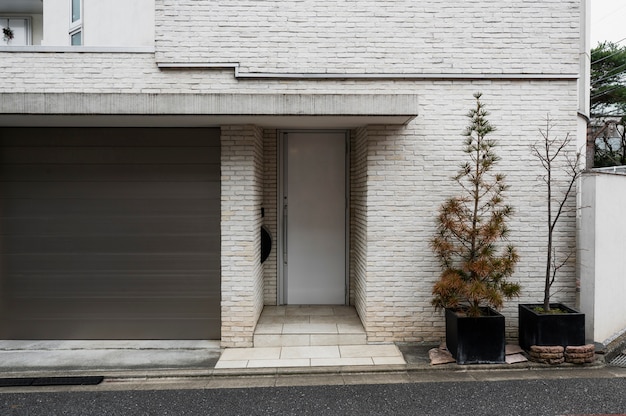 Japanese culture house entrance and plant