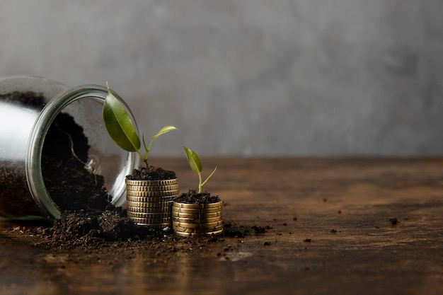 Free photo jar with dirt and stacked coins with copy space