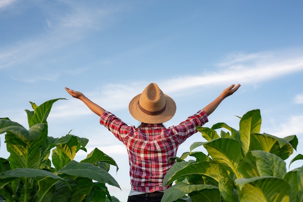 Joyful young woman in a tobacco plantation.