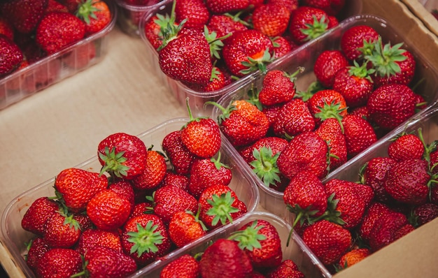 Juicy ripe strawberries on the supermarket counter