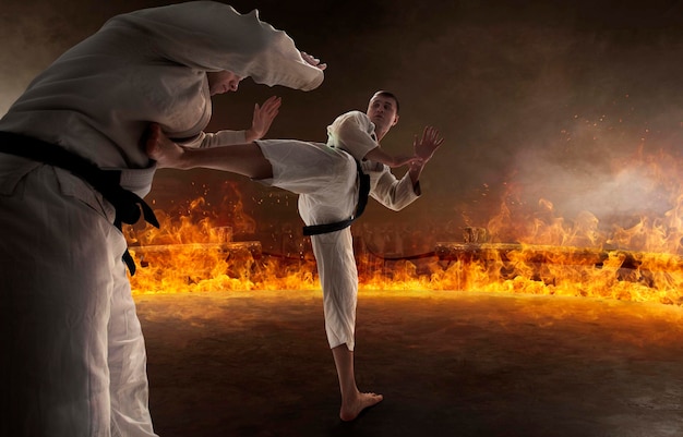 Free Photo karate fighters