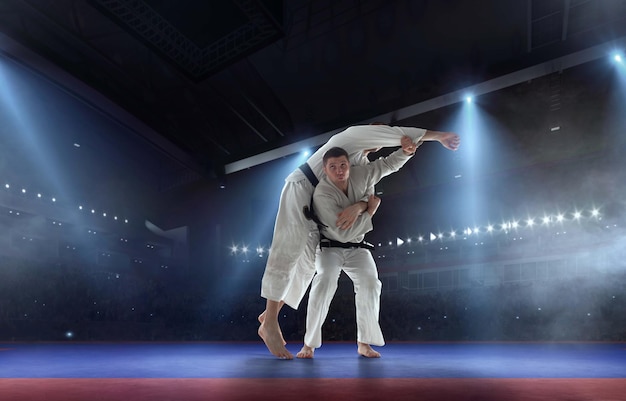 Free Photo karate fighters