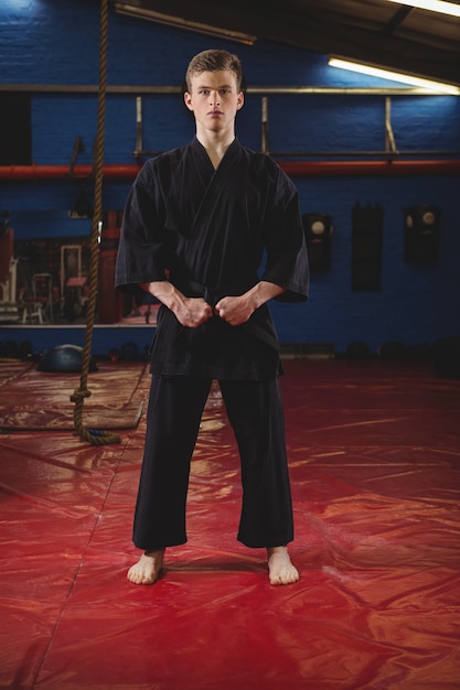 Karate player performing karate stance