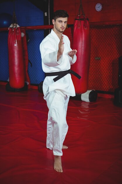 Karate player performing karate stance