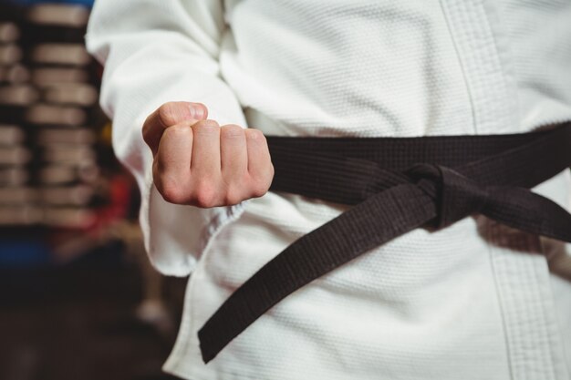 Karate player performing karate stance