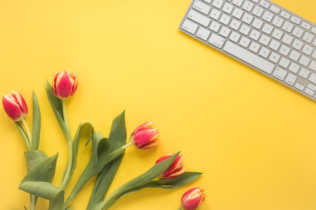 Free photo keyboard near fresh tulips with green leaves