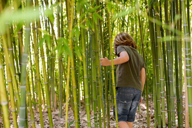 Free photo kid walking through a bamboo forest