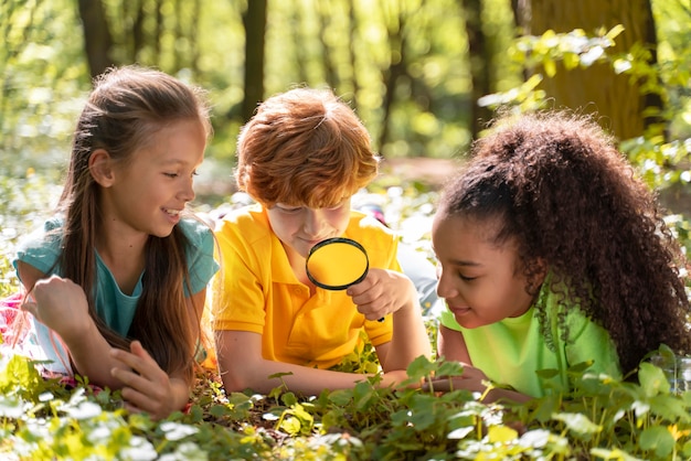 Free photo kids exploring together the nature