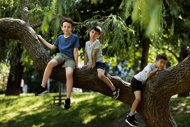 Kids having fun at the playground