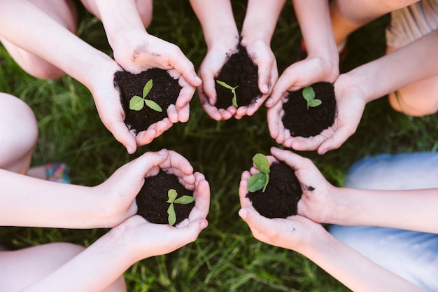 Kids holding in their hands a clover 