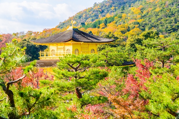 Free Photo kinkakuji temple