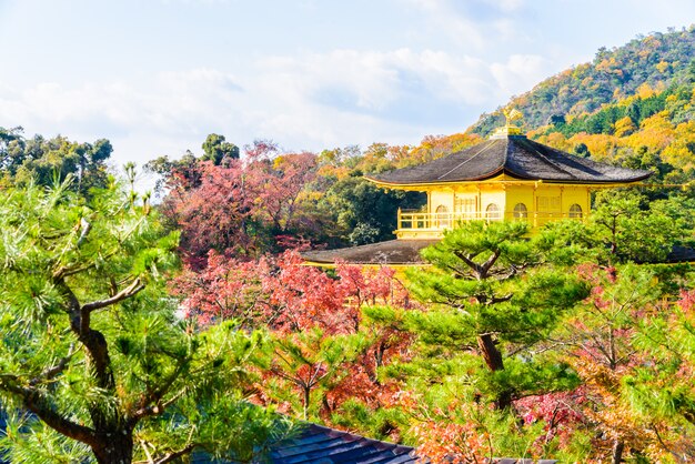 Kinkakuji Temple